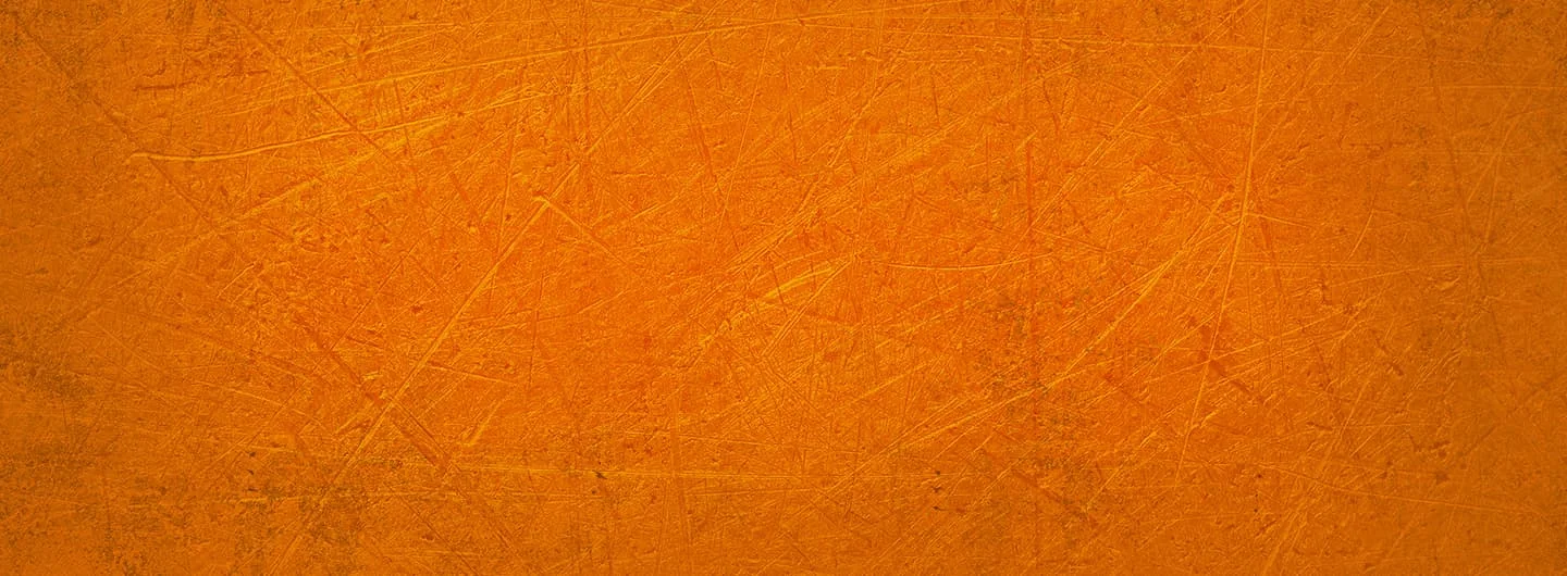 MESA PRO RUGGED TABLET